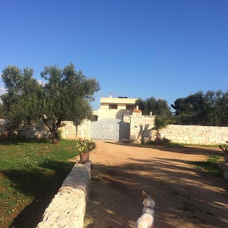 Casa Eva Lägenhet San Vito dei Normanni Exteriör bild